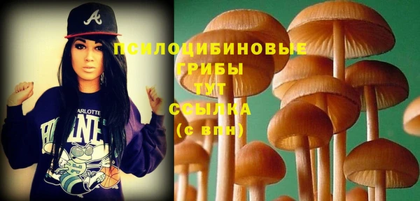 крисы Арсеньев