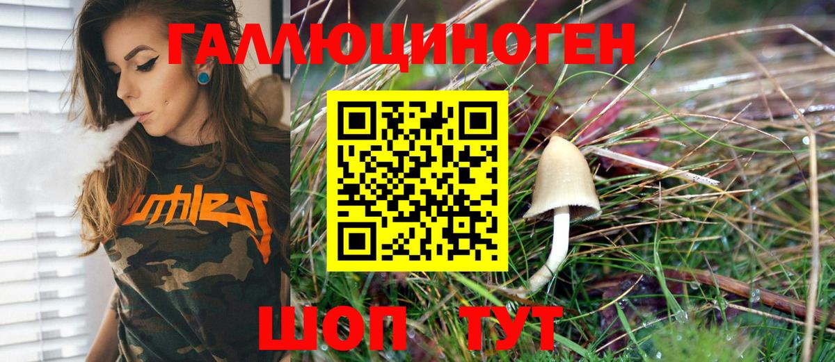 Псилоцибиновые грибы мицелий  Псилоцибиновые грибы Psilocybe  Вход с VPN  Каспийск 